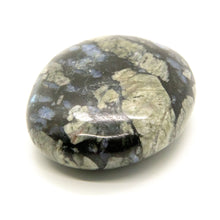 Load image into Gallery viewer, Que Sera or Llanite Pillow Palm