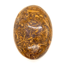 Load image into Gallery viewer, Chakra Crystal Mariam Jasper Meaning