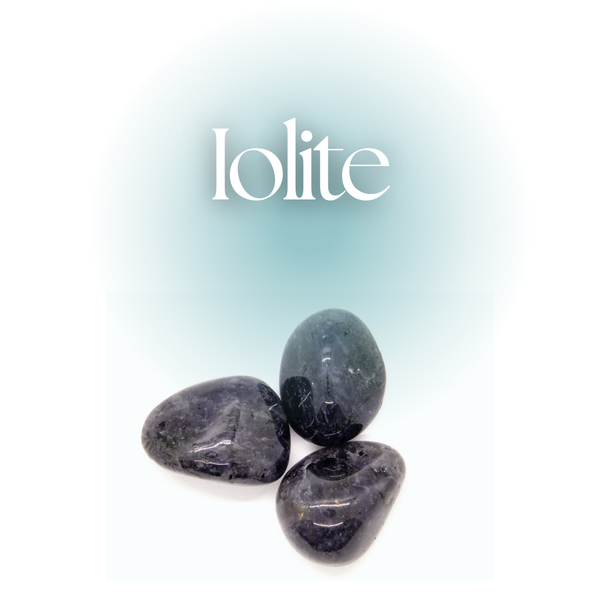August Pebble Pick 2025