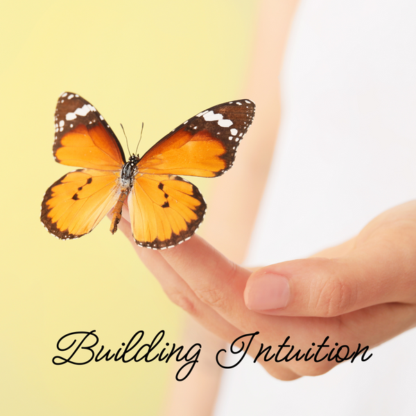 Building Intuition