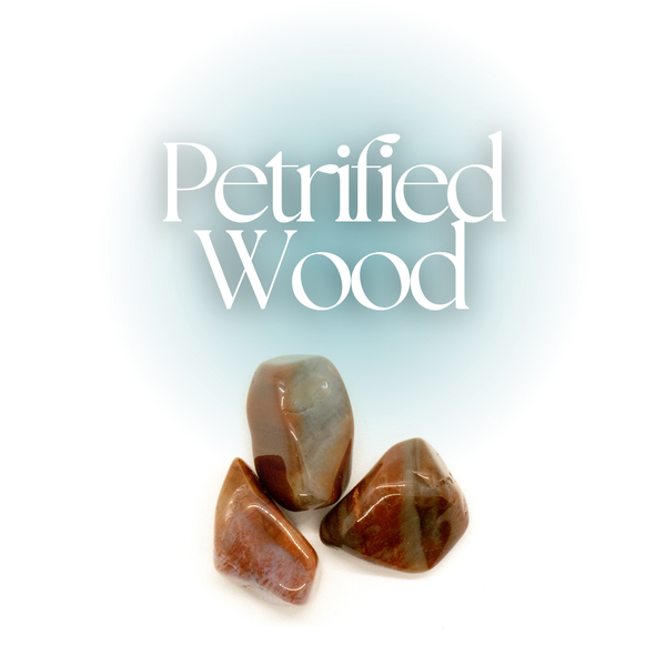 November Pebble Pick 2025