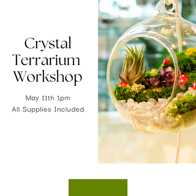 May Crystal Terrarium Workshop