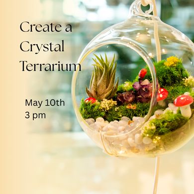 Crystal Terrarium Workshop - May 2025