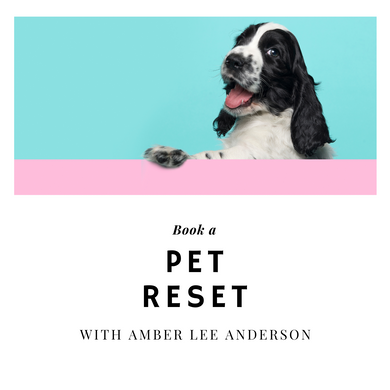 Pet Reset