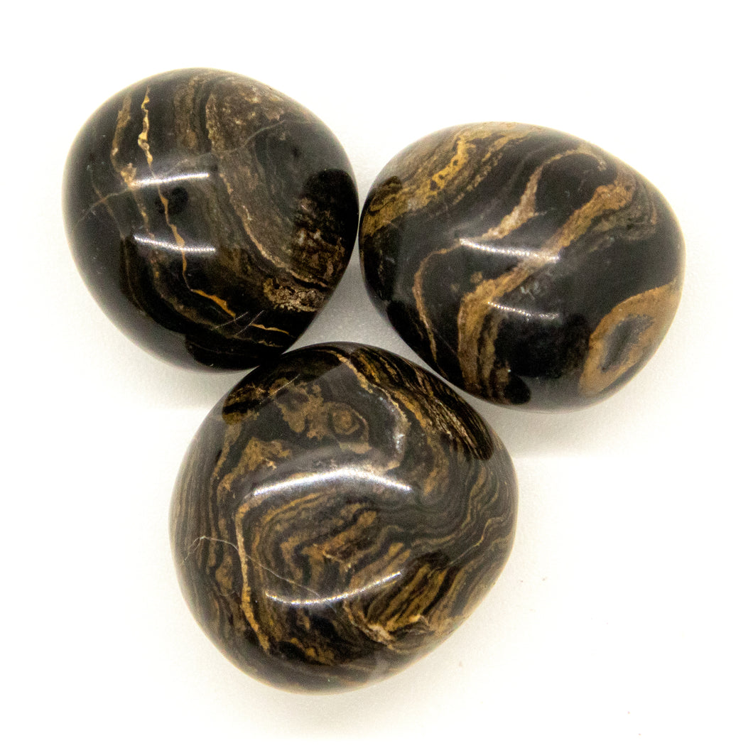 Stromatolite Tumbled Chakra Stone