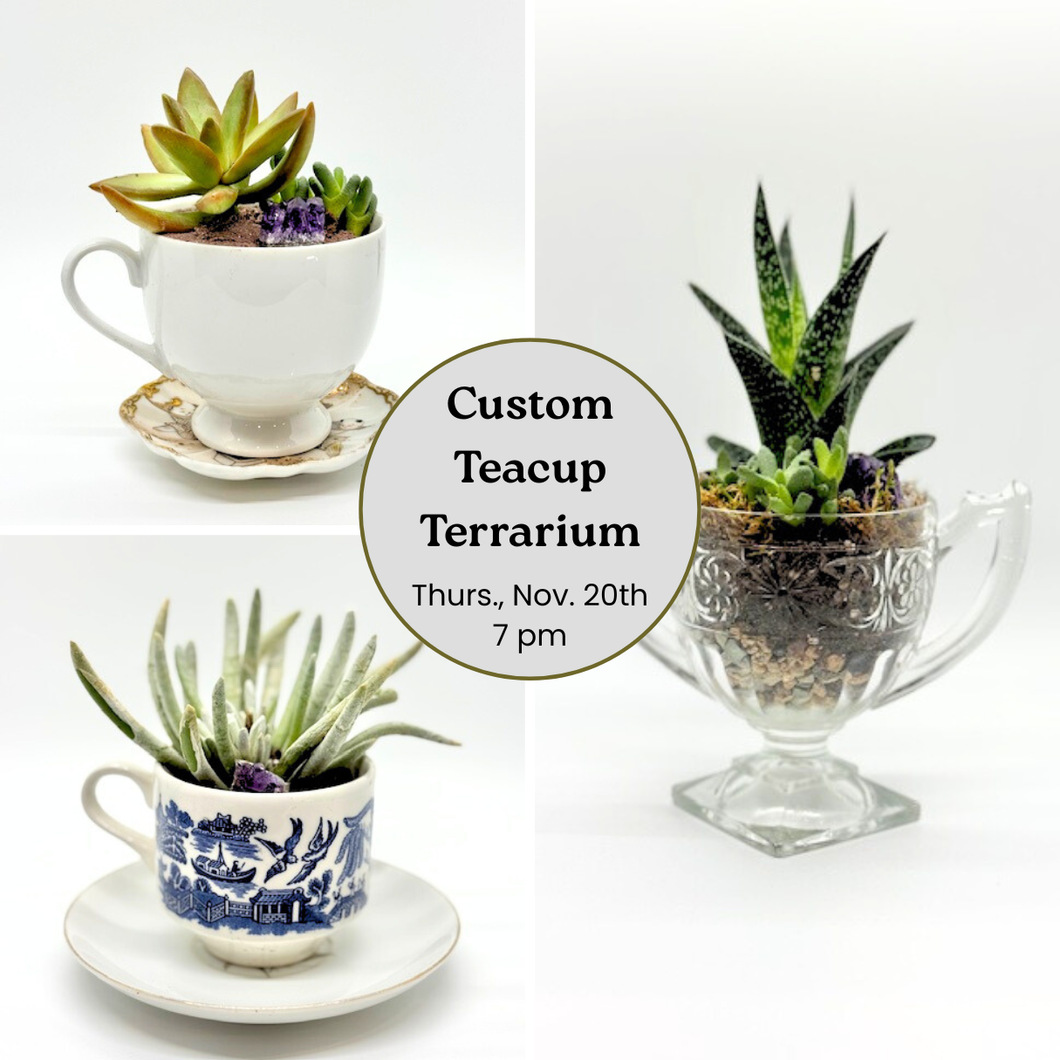 Teacup Terrariums