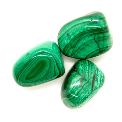 Malachite Tumbled Chakra Stone