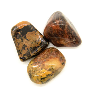 Puffadder Jasper Tumbled Chakra Stone