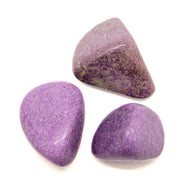 Stichtite Tumbled Chakra Stone