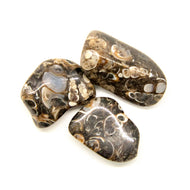 Turritella Agate Tumbled Chakra Stone