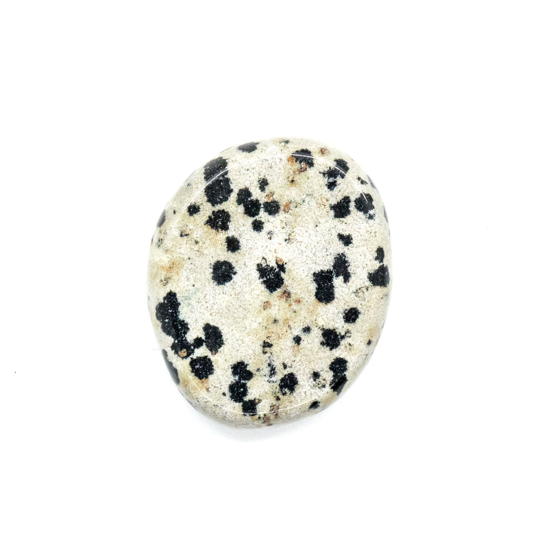 Chakra Crystal for Protection Dalmatian Jasper Meaning