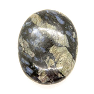 Que Sera or Llanite Pillow Palm