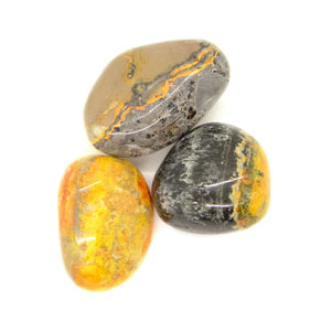 Chakra Crystal Bumbled Bee Jasper Meaning. 