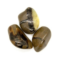 Septarian Tumbled Stone