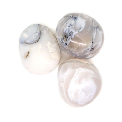 White Dendritic Agate Tumbled Stone
