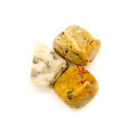 Chakra Crystal Crazy Lace Agate Meaning